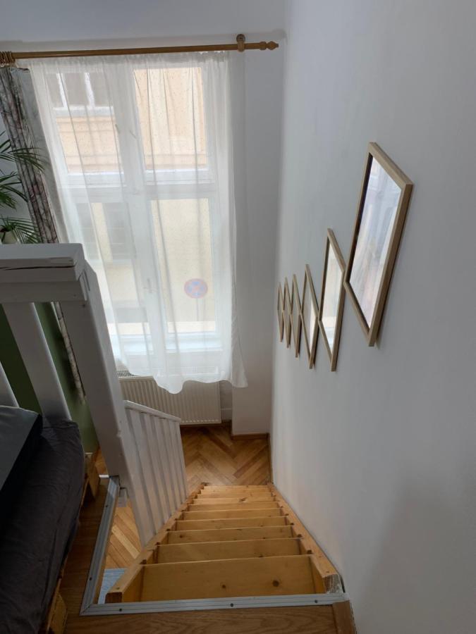 Central Cozy Apartment Kluż-Napoka Zewnętrze zdjęcie