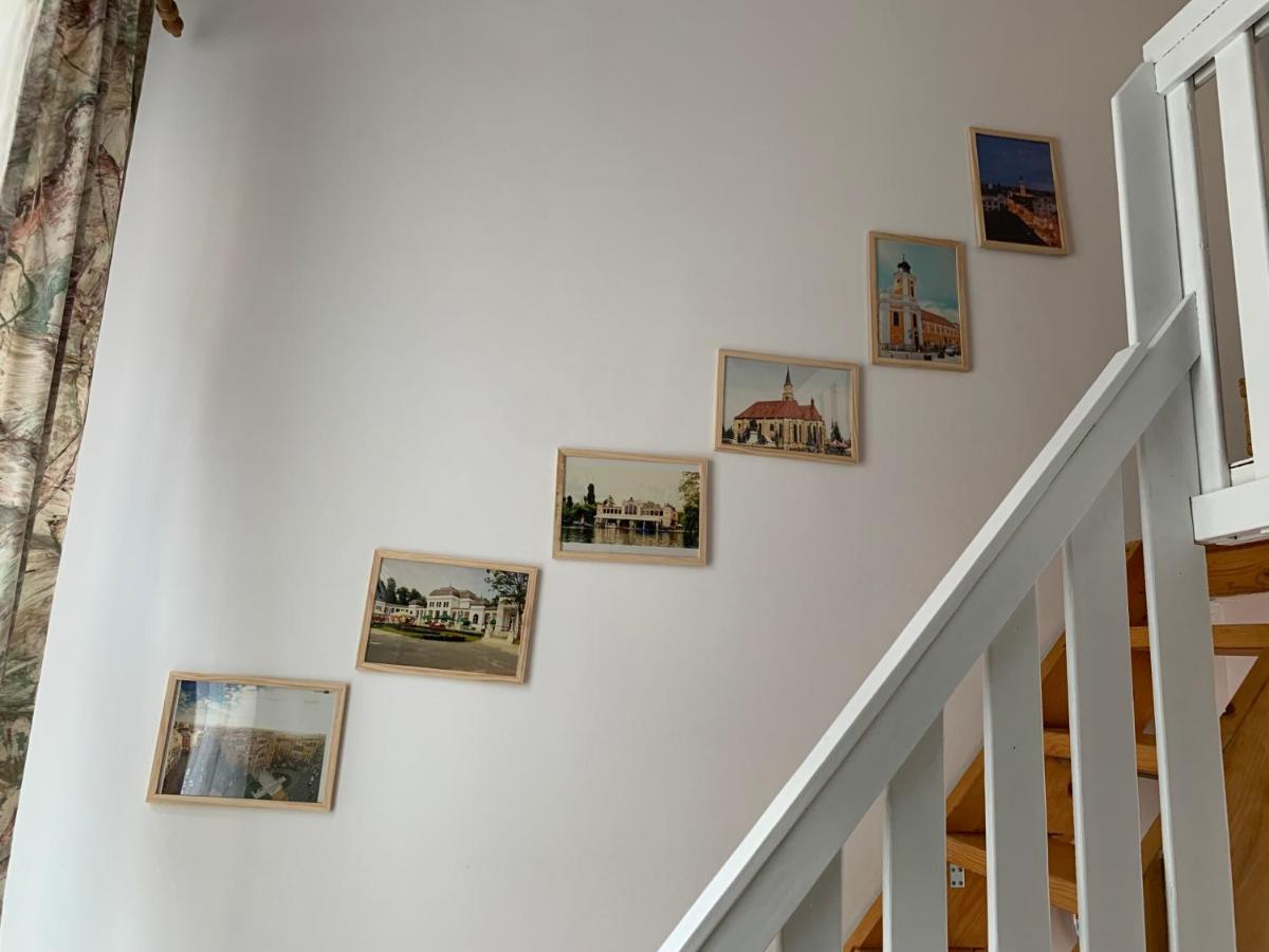 Central Cozy Apartment Kluż-Napoka Zewnętrze zdjęcie